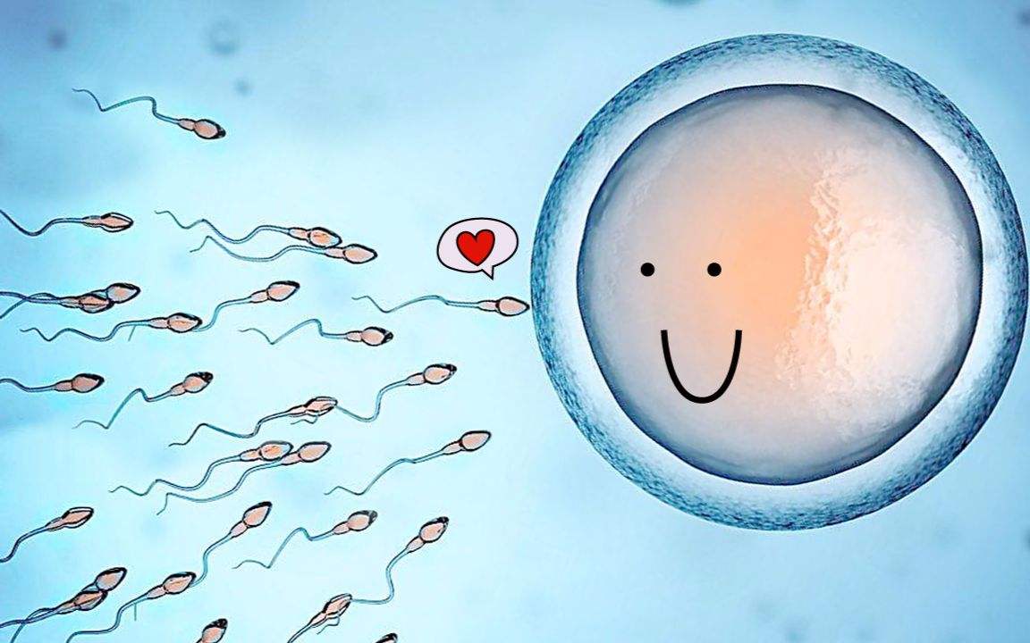 宫外孕成新晋孕产的四种习惯,宫外孕早期和先兆流产