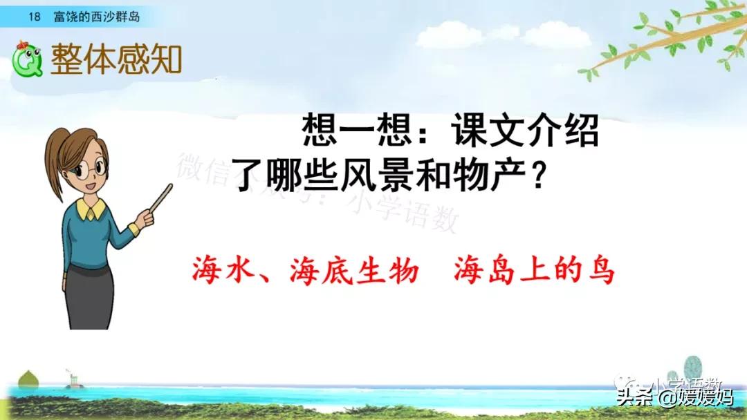 三年级第18课富饶的西沙群岛视频,三年级上册18富饶的西沙群岛笔记
