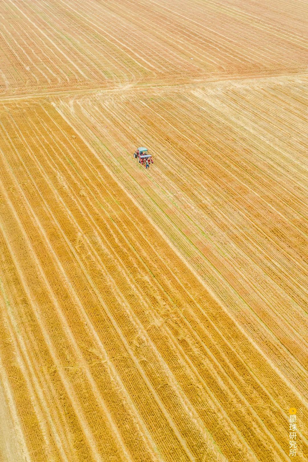 什么是郑州绿城,什么是郑州特产