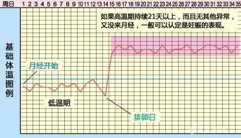 基础体温监测排卵的方法,普通排卵试纸怎么看