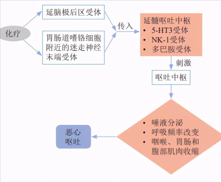 化疗如果恶心和呕吐怎么办,化疗引起的恶心呕吐怎么避免