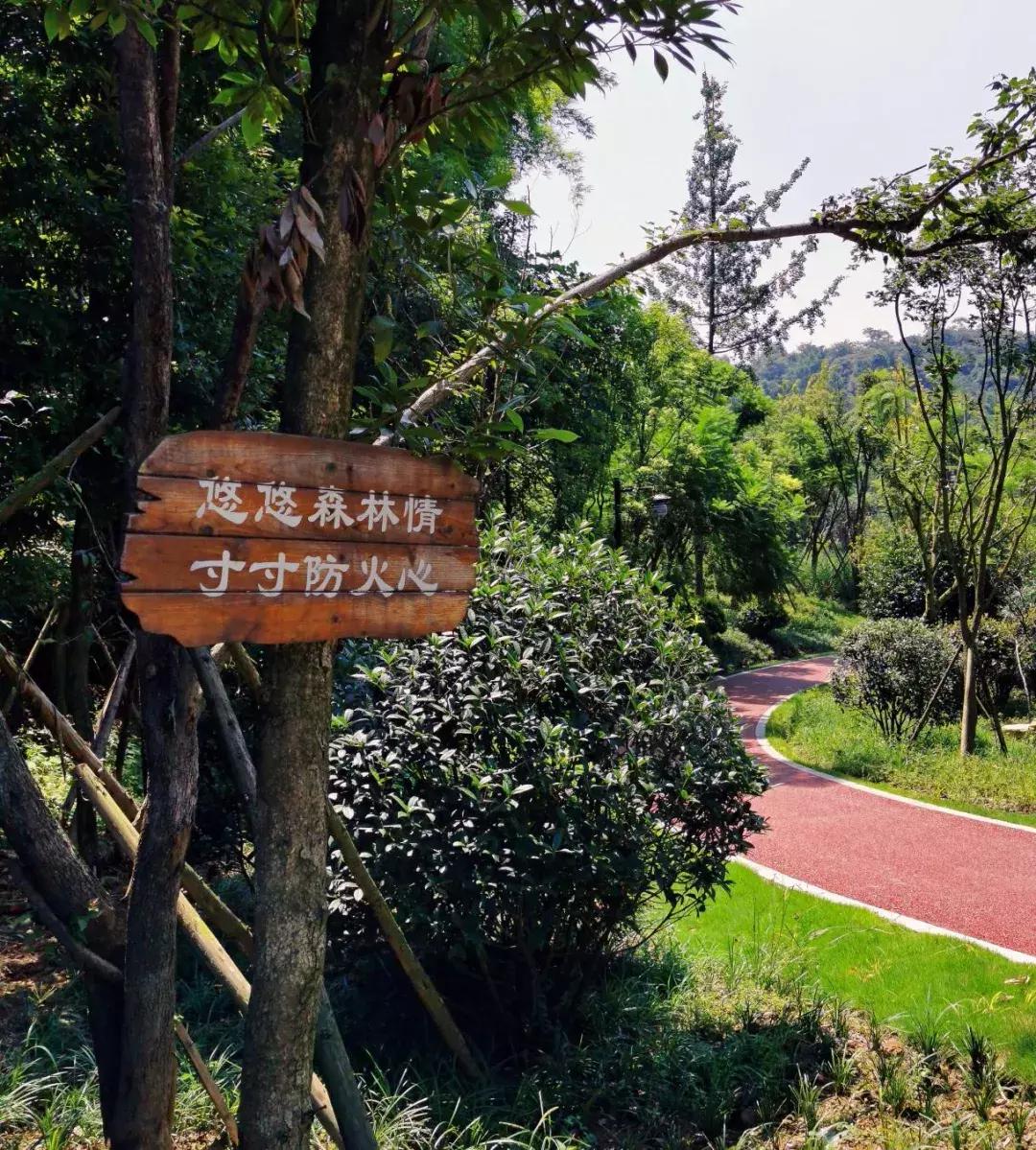 乐山市生态文明,庆祝新中国成立70周年特辑宣讲