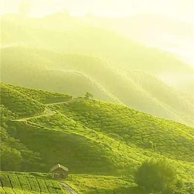 微信头像2020最火微信头像姓氏3d,卡通微信头像2020最火微信头像