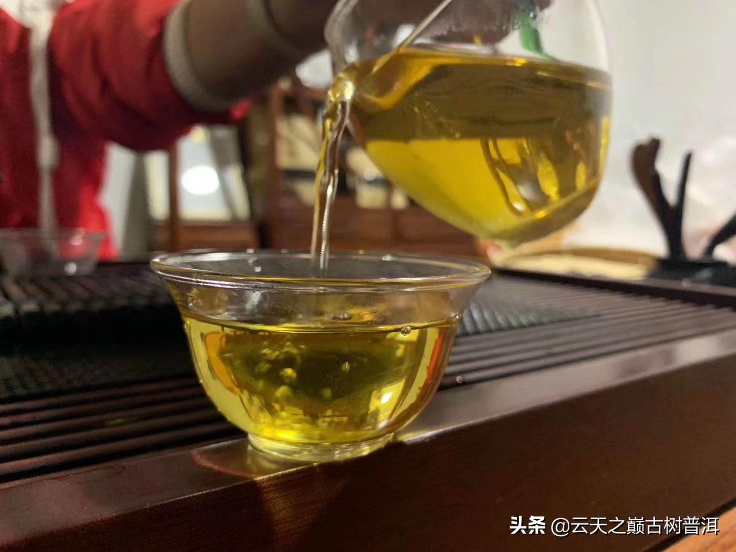 如果主人倒茶给你你不喝怎么说,主人问你茶好不好喝怎么回答