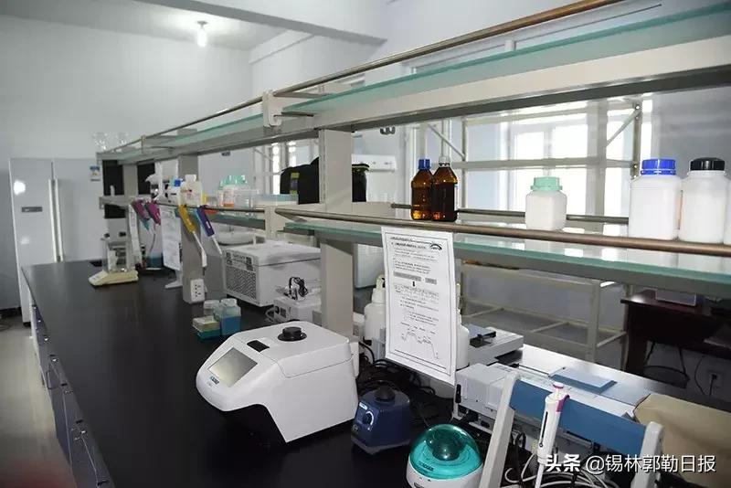 锡盟土豆,锡盟土豆一斤多少钱