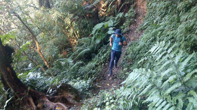 北面徒步鞋专业级和高性价比,北面徒步鞋thenorthface怎么样