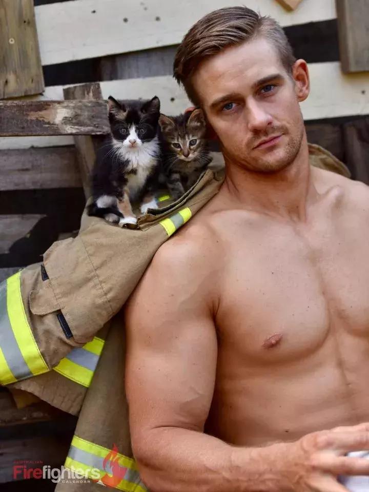 辣到爆的猫片,对不起我要流鼻血了……