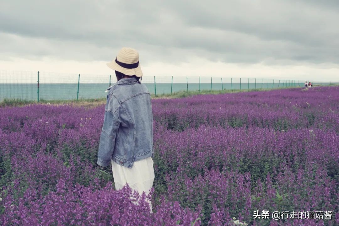 西宁旅游交通攻略路线,西宁避坑攻略