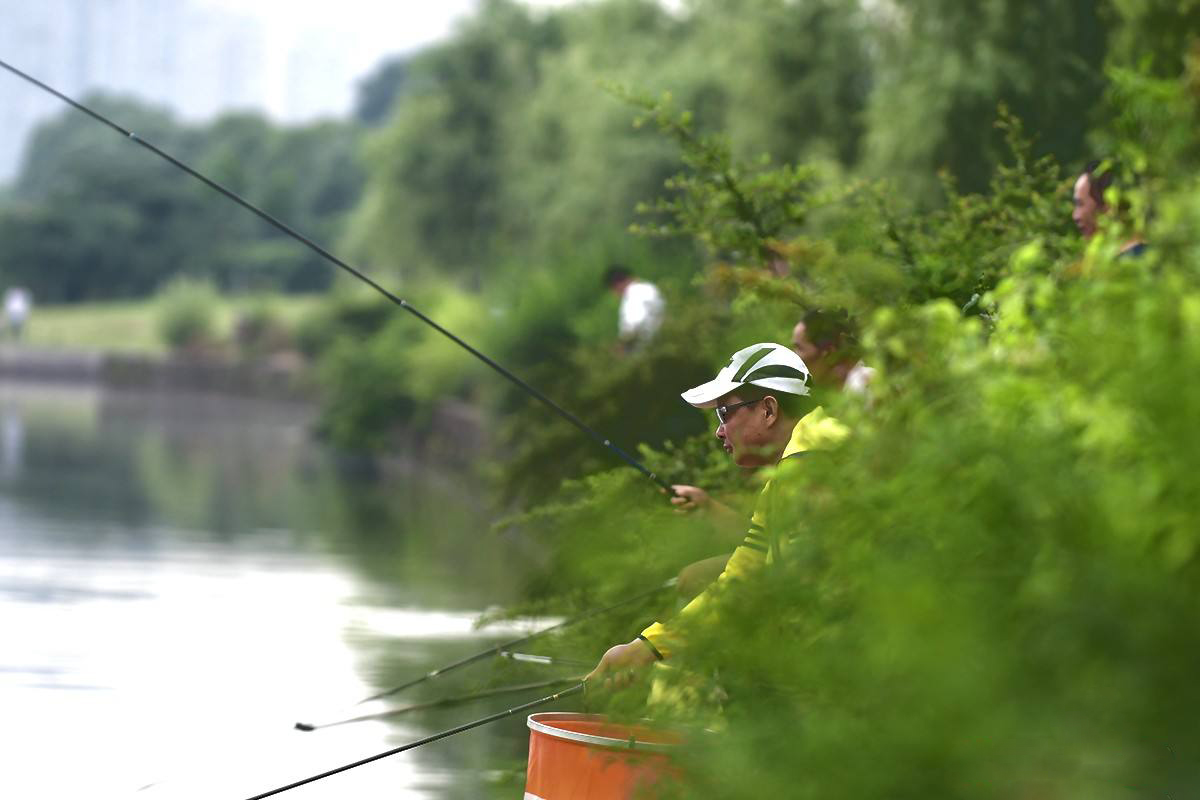 新手怎么学钓鱼最简单,初学者怎么钓鱼入门
