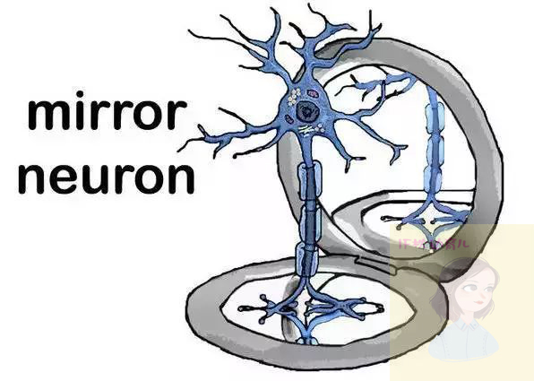 2岁4个月喜欢学狗叫,2岁宝宝一直学狗叫