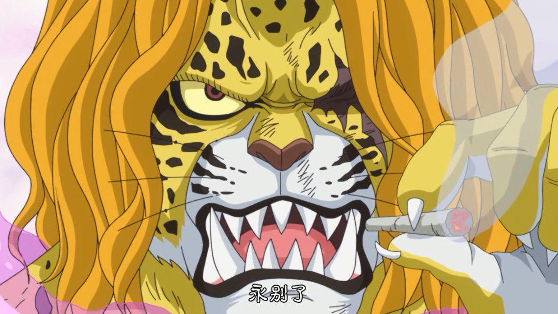 海贼王卡普大将,海贼王海军大将卡普