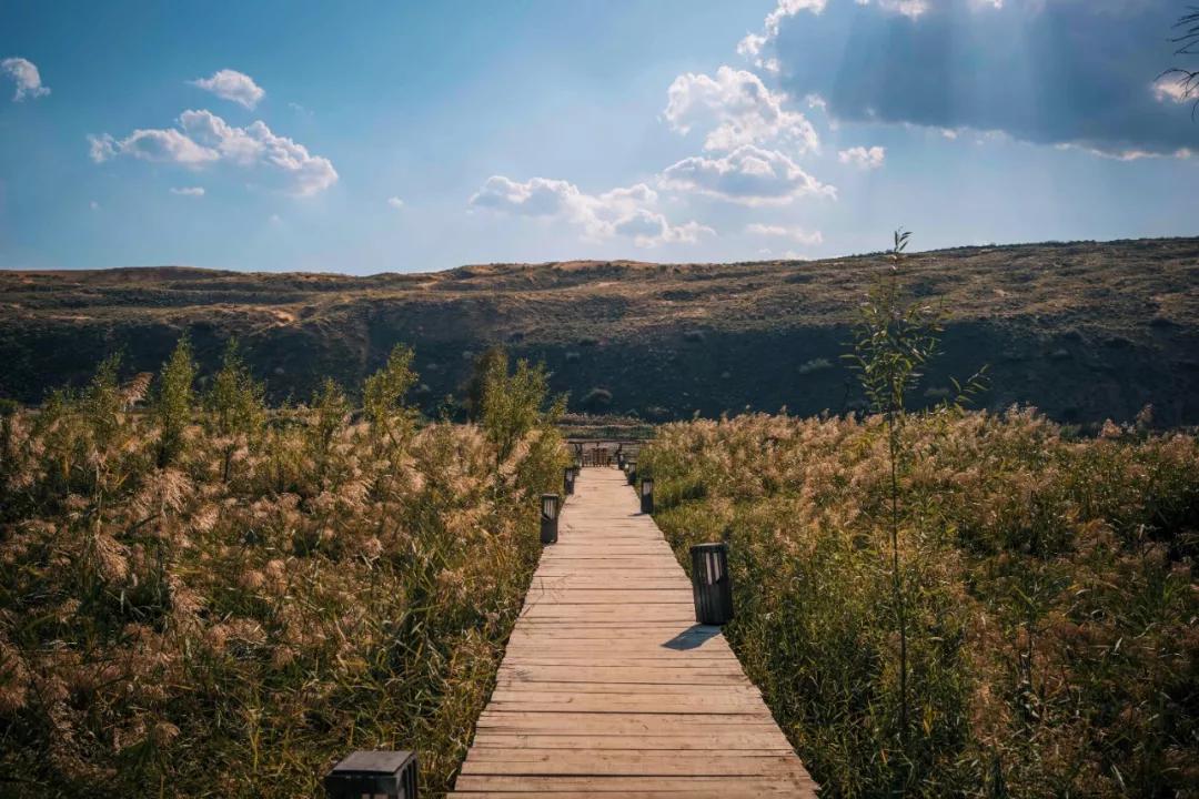 中卫最便宜酒店,中卫特价酒店