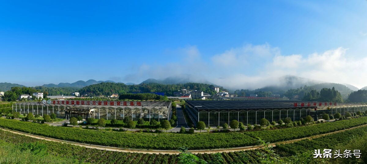 学而思员工离职,学而思被辞退的员工