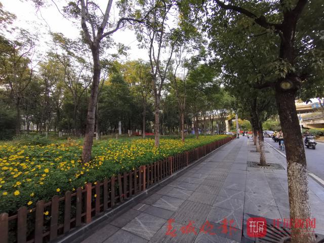 昆明现在有哪些路在修 (最新昆明市区内的道路规划)