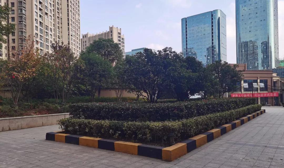 小区烂尾8年业主无奈入住,郑州市烂尾楼业主真实现状