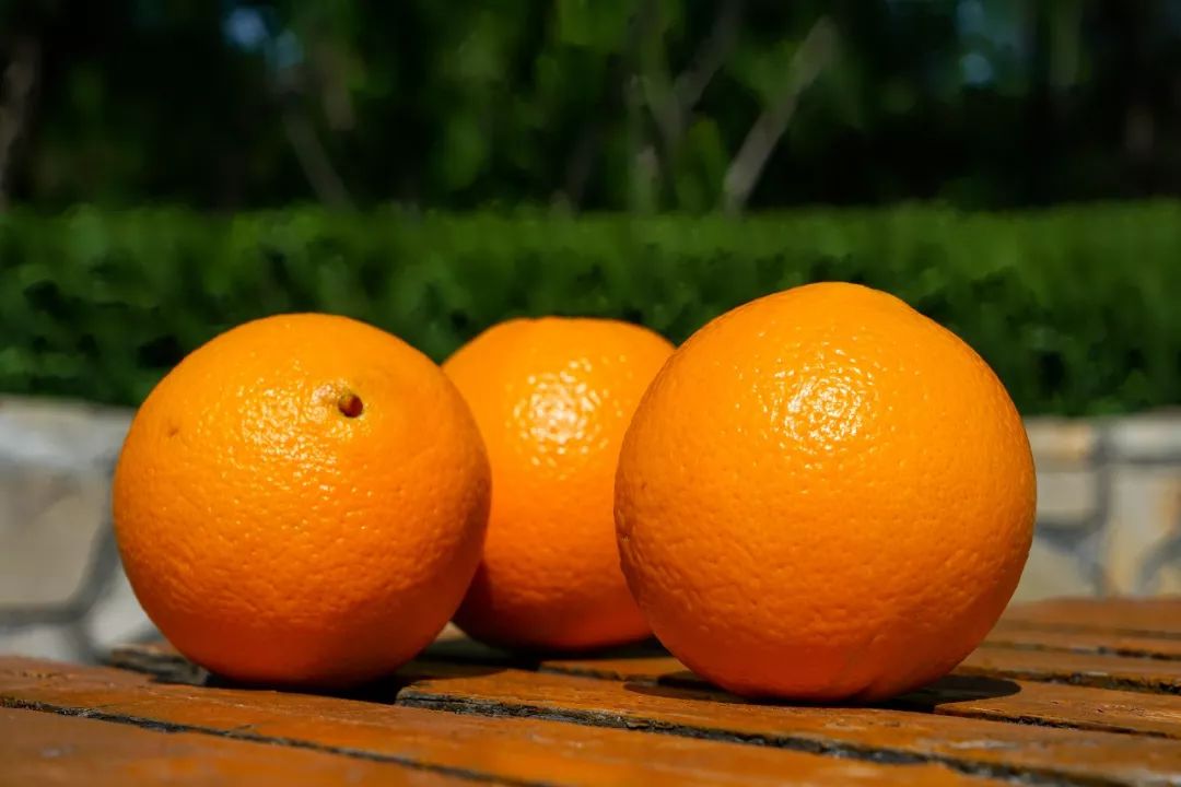 生鲜果蔬配送商城长春,全球顶级水果生鲜配送