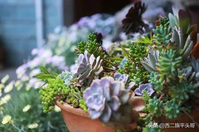 中国最美尼姑庵图片,全中国最美的尼姑庵