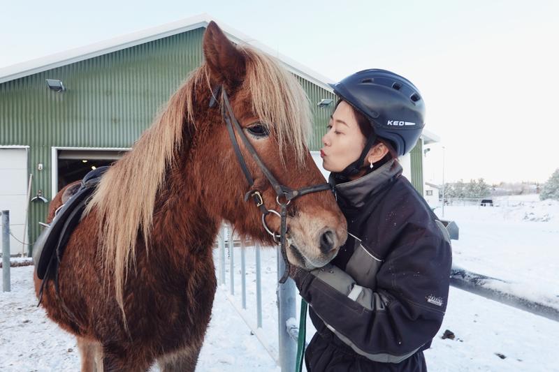 飘雪的季节,你要来一次冰岛(附冬季环游攻略)