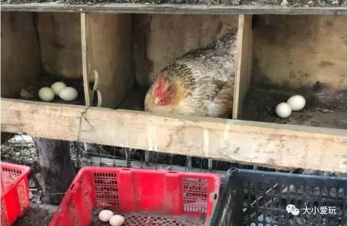 通州副中心哪些地段好,北京通州有山有水遛娃好去处