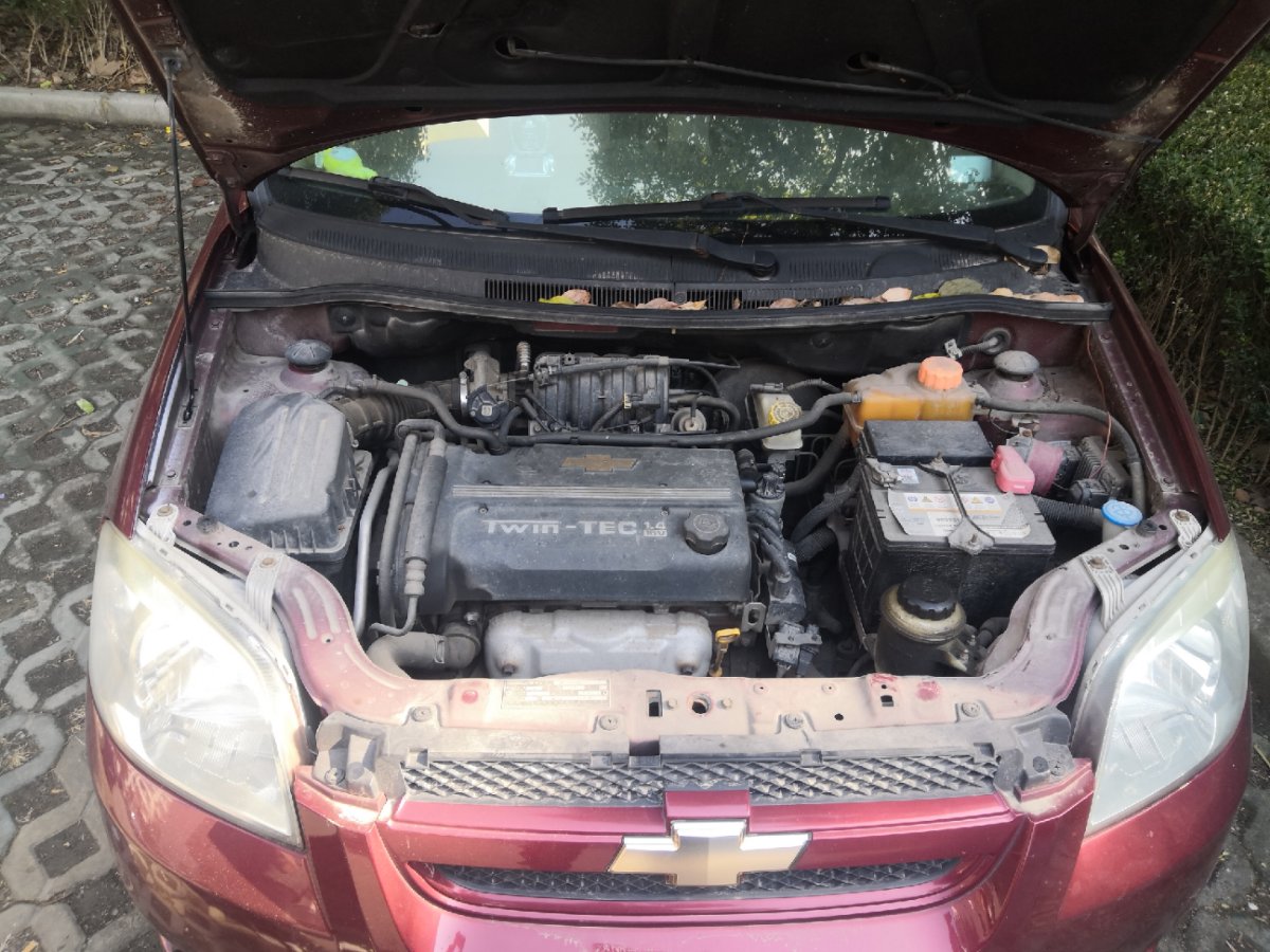 9800元的车子,9800能买什么车