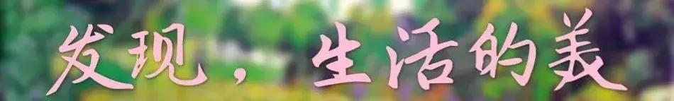 美术鉴赏如何欣赏美术作品,如何从多个角度去欣赏美术作品