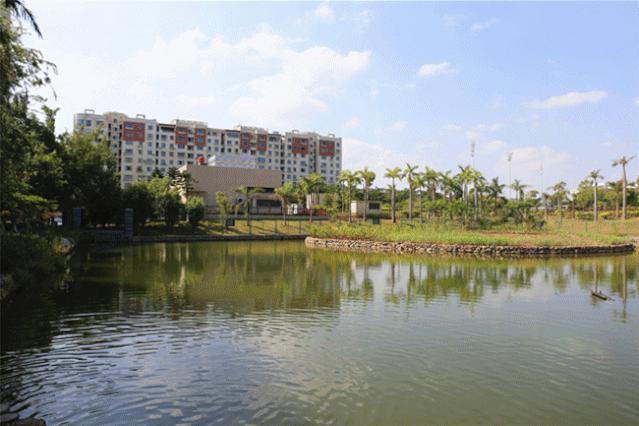 很多人挤破脑袋都想进的学校,万千学子挤破脑袋都要进大学