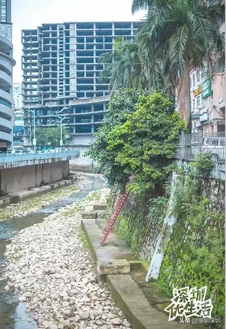 龙华最旺的城中村,深圳龙华城中村排名一览表