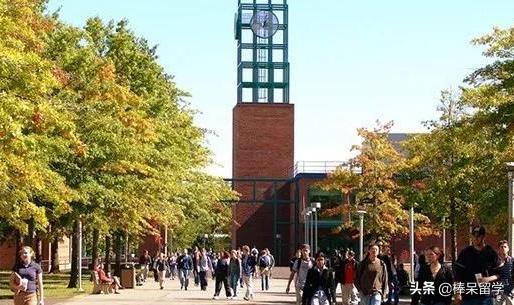 够不上常春藤？听腻了加州系？来看下传说中的“公立常春藤”吧