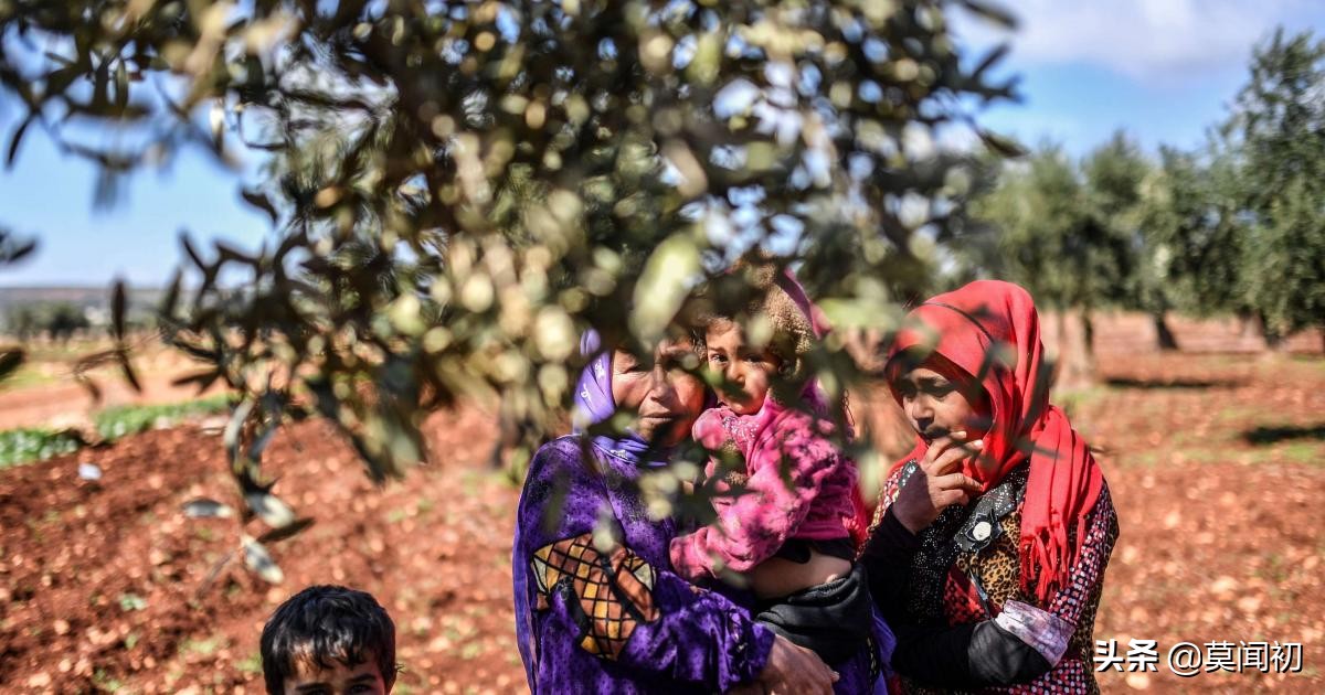 7500万土耳其里拉是多少人民币,叙利亚橄榄油土耳其