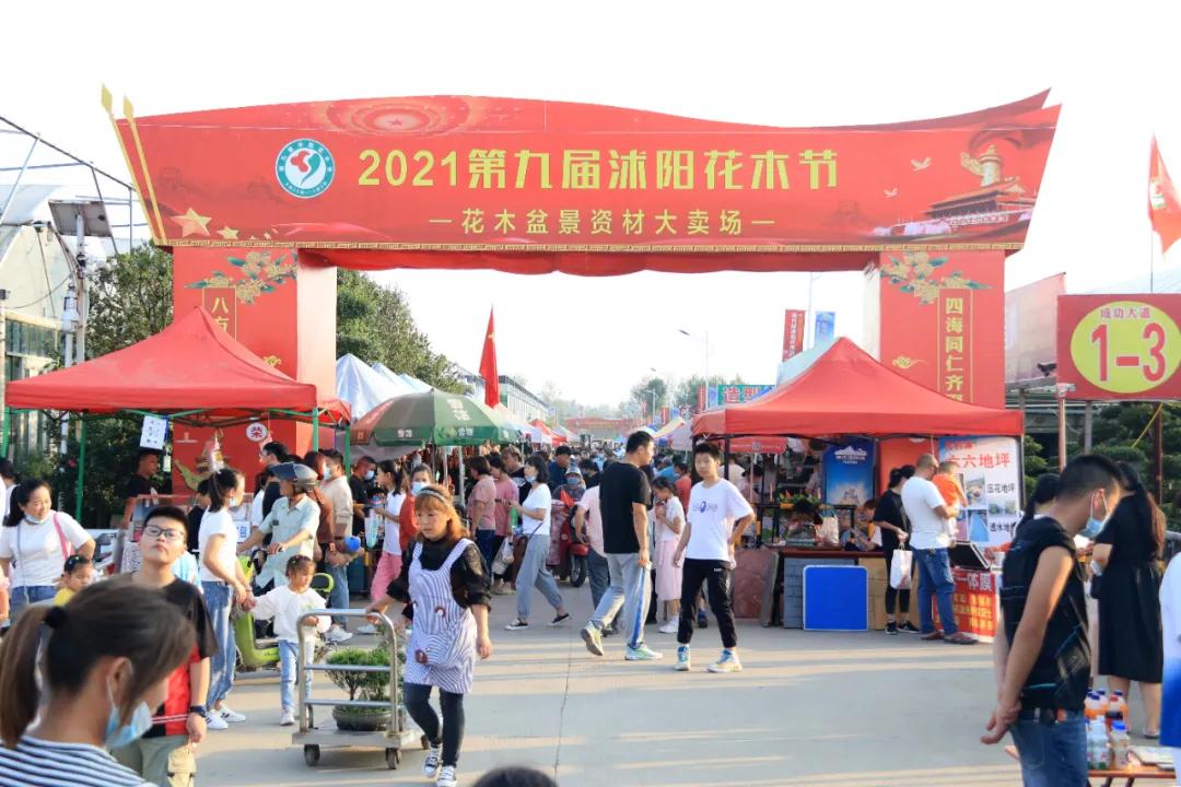 花木盆景活动,秋冬季花木节盆景展