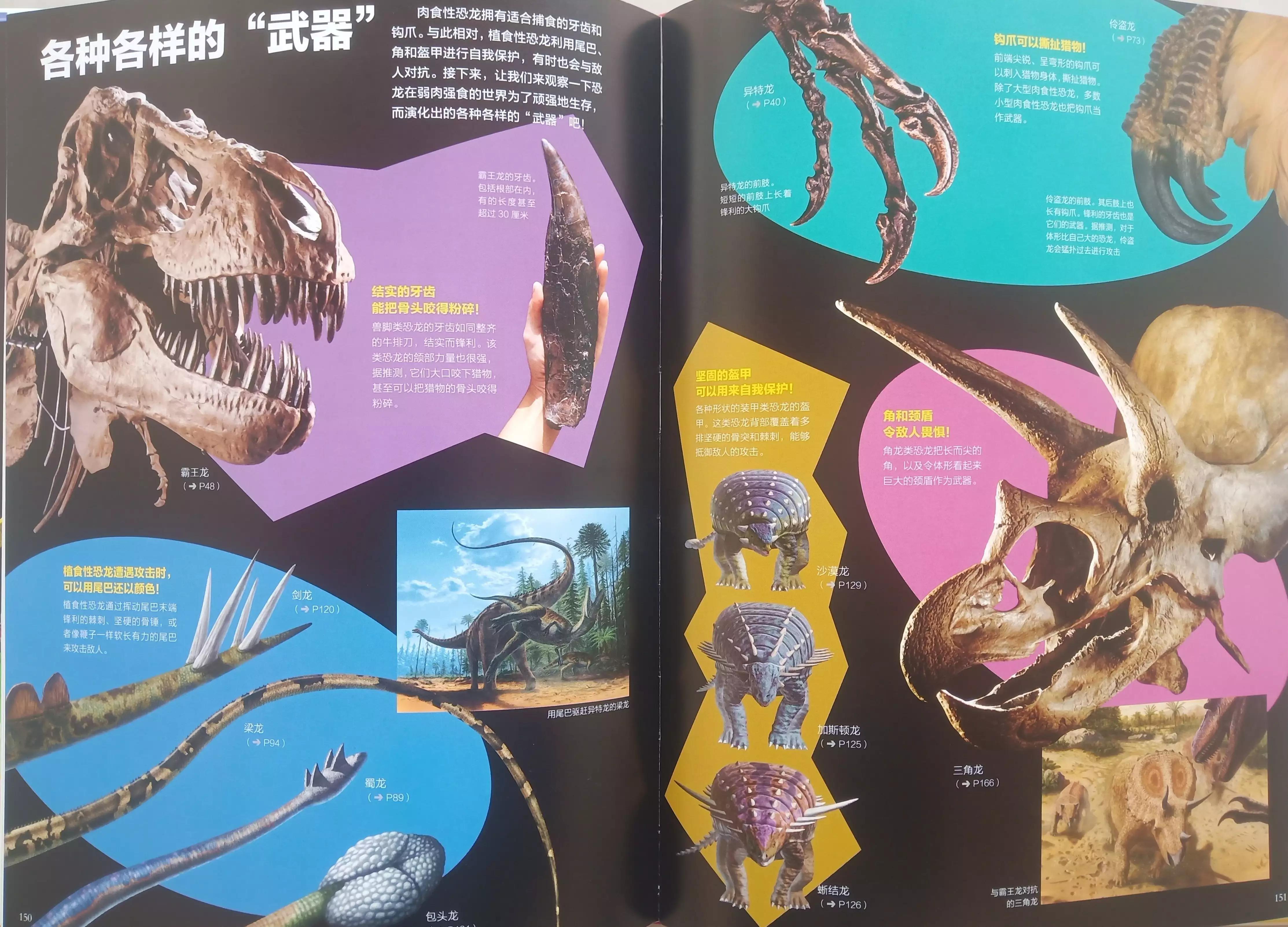 儿童恐龙百科知识讲解,恐龙百科知识儿童版6岁