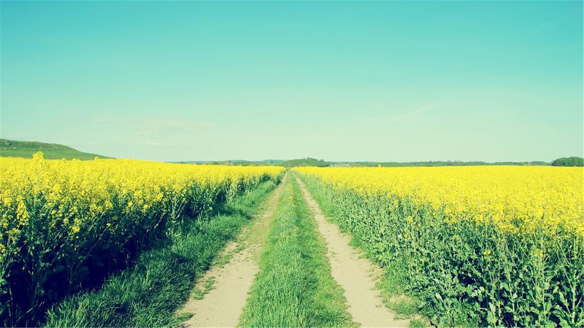 蓝色护眼壁纸唯美图片,最美的护眼桌面壁纸