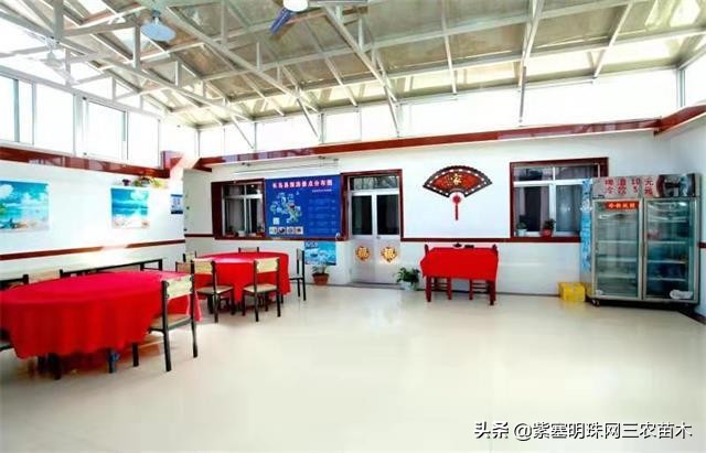 爱上一座城爱上一个人短视频,长岛大壮渔家民宿团购