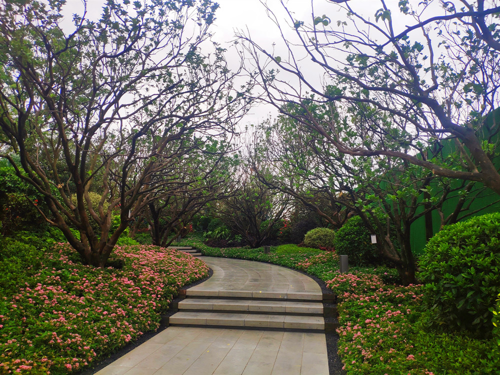 南宁联发臻境楼盘视频,南宁联发臻境最新房价