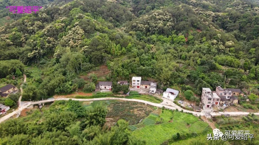 昭平县桂江东岸公路视频,贺州昭平道路建设