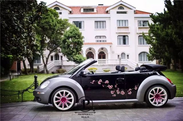 “樱妳而来”，一起奔跑！在魔都的早樱花海下邂逅美丽的自己！