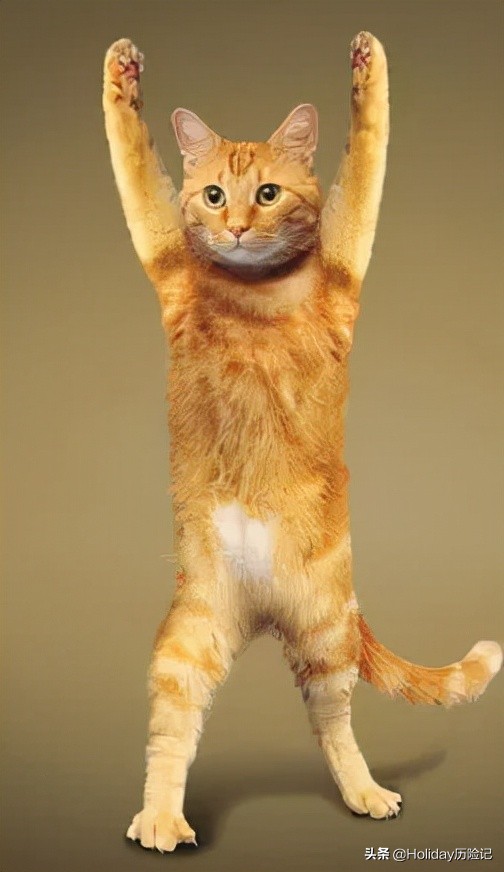 穿上1000块一条的lululemon，我飘了