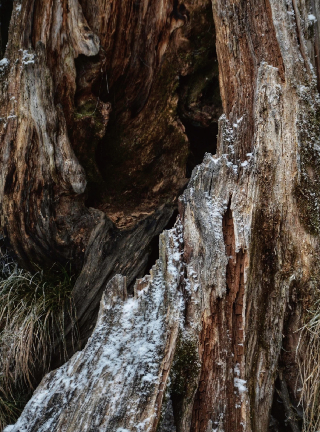 Chengduwow|借束光，请你免费去四川“小京都”泡私汤