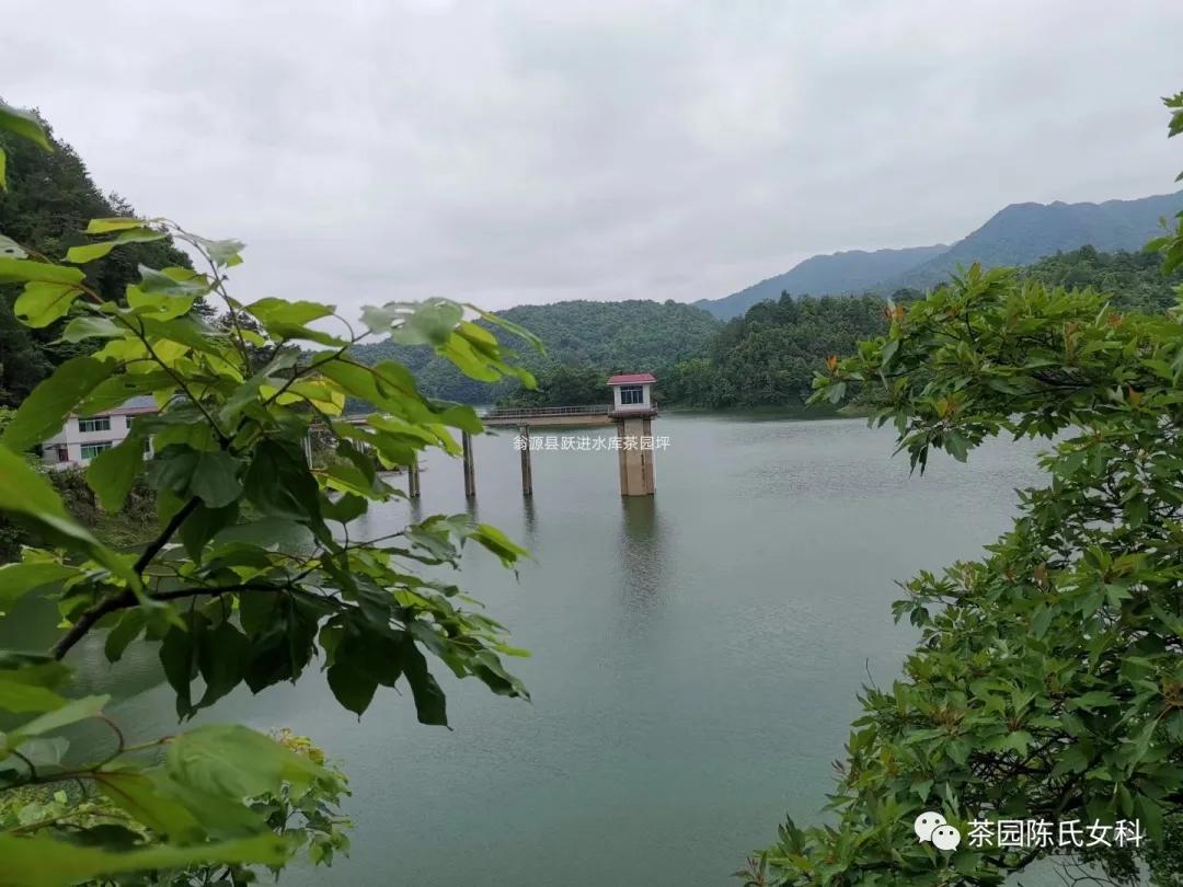 绝经后没取节育环出血是什么原因,绝经了啥时候取避孕环