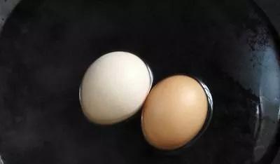 尿素偏高是肾功能不全吗,肾功能检查尿素略高