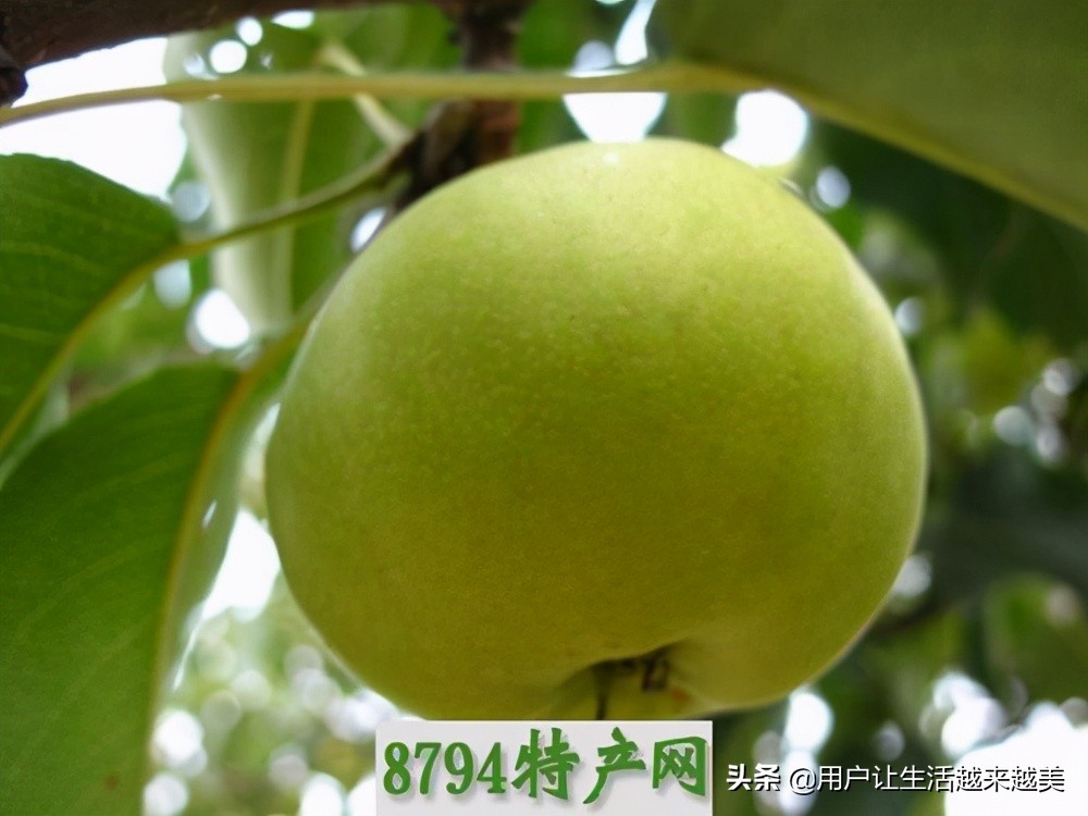 龙胜哪儿有好看的景区,广西的龙胜有什么好玩的