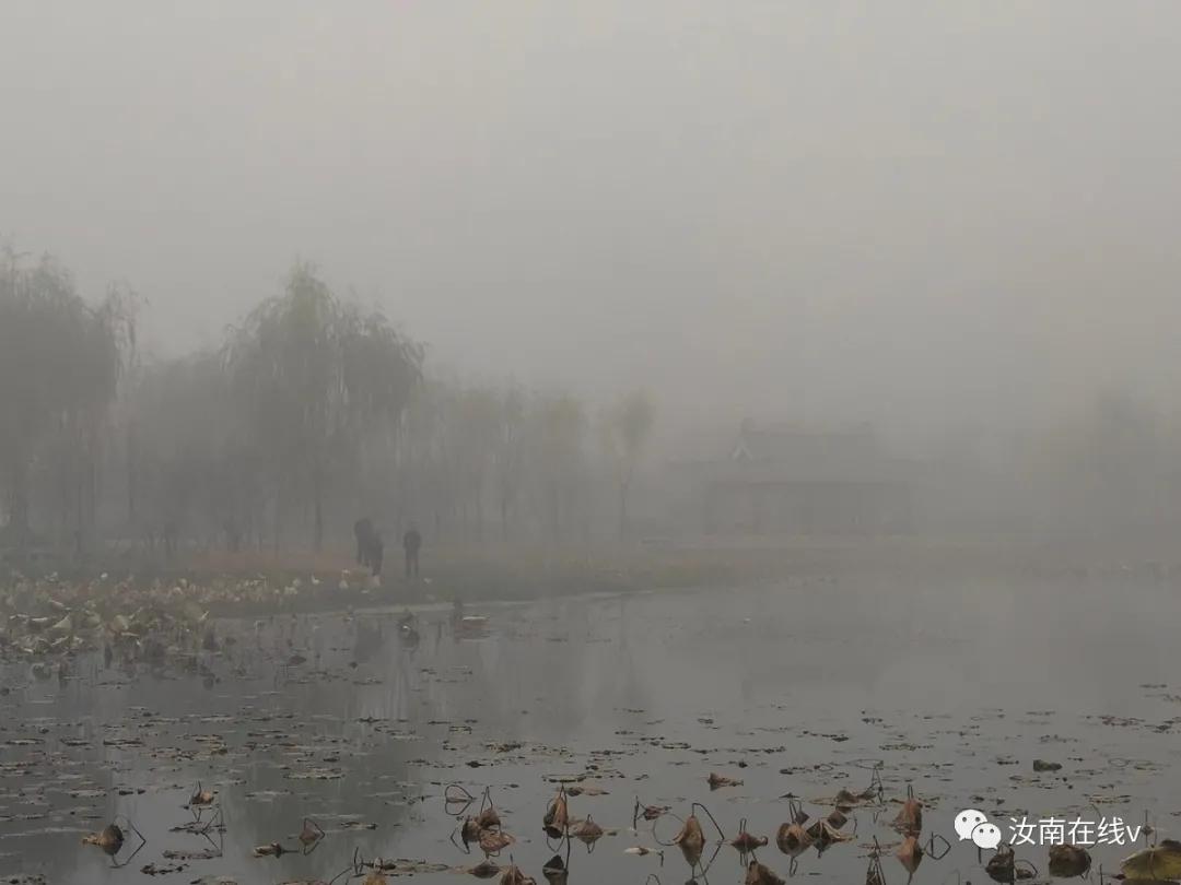 汝南县发布大雾橙色预警,大雾突然来袭视频