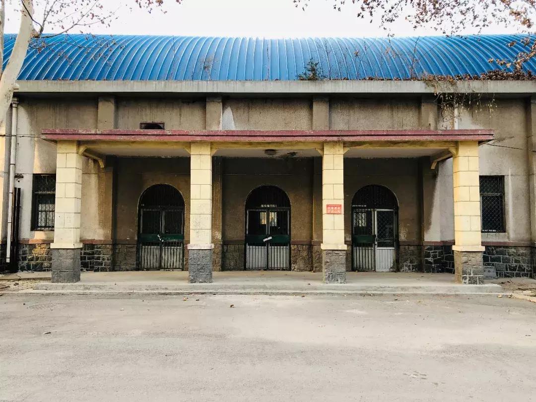 山东科技大学,不再见!