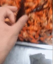 爆笑GIF动态图,爆笑gif图真正的危险总是悄然而至