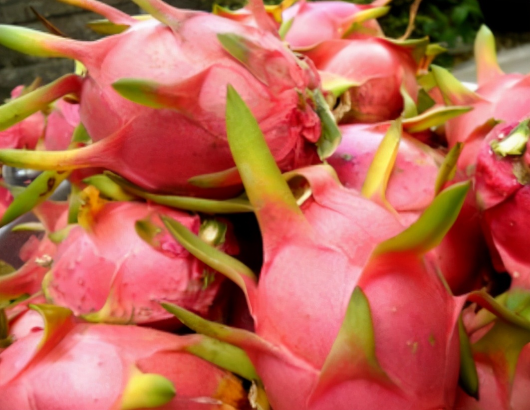 火龙果怎么买最甜,买火龙果买整颗的