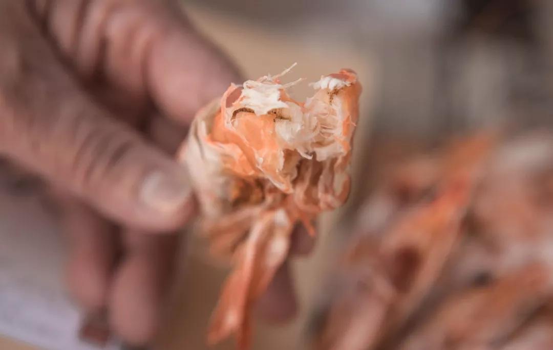 补肾健脾固精的海产品都有哪些呢,温肾固精的食物有哪几种