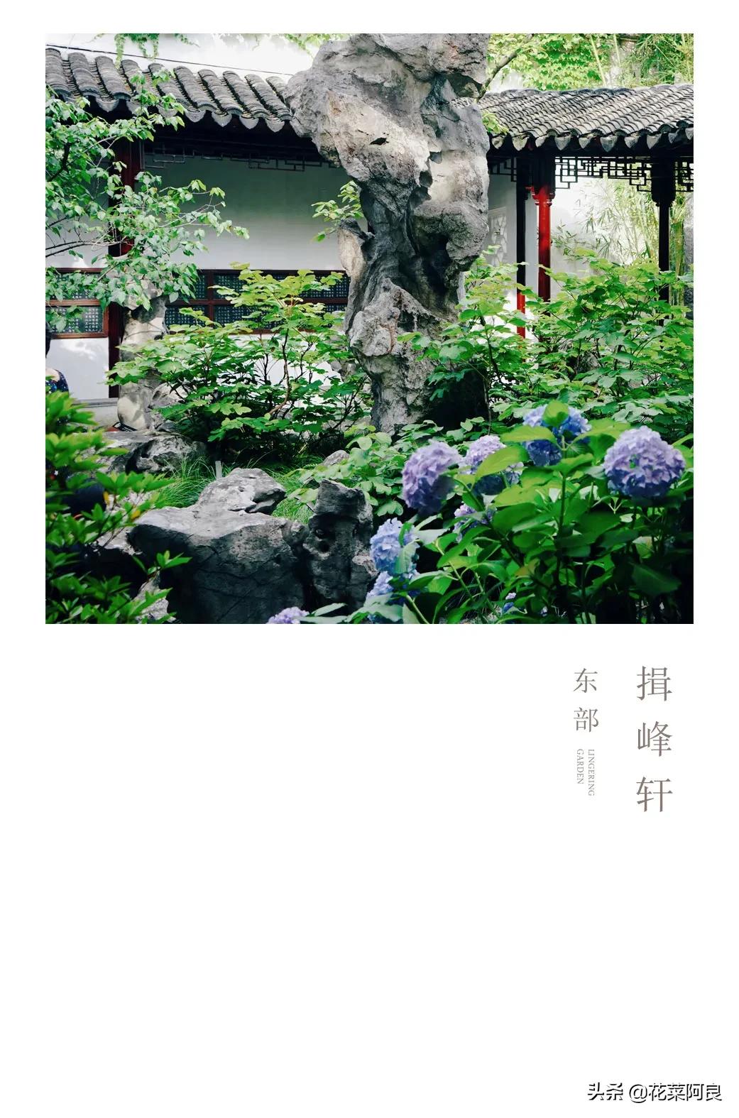 留园拙政园哪个景色好,留园和拙政园