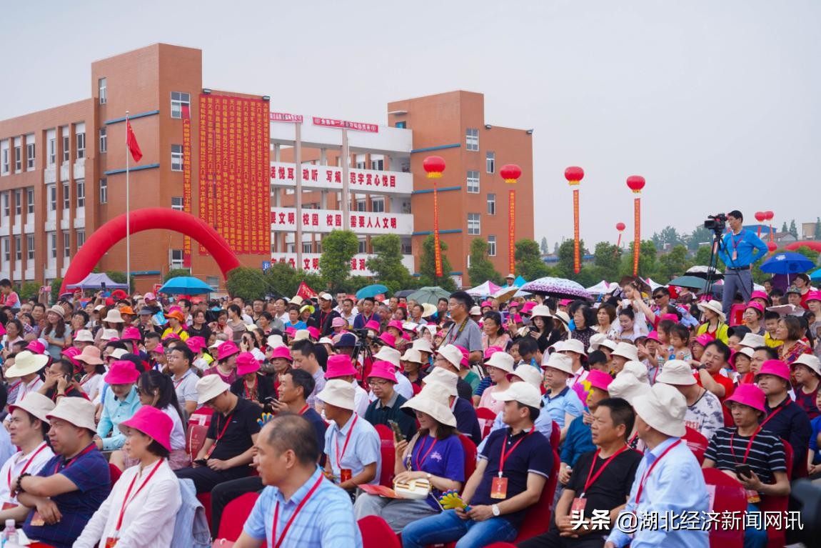 天门干驿镇小龙虾,湖北潜江虾稻共作新模式
