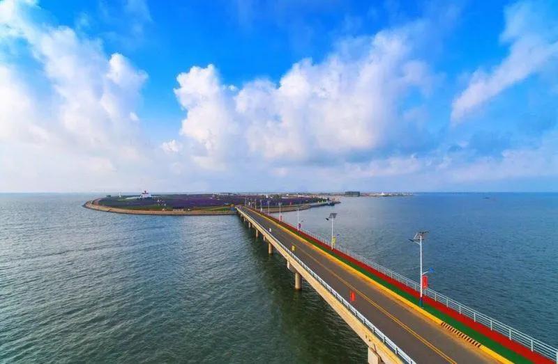 山东广电2021海洋研学成长营｜夏天、海水、沙滩、篝火海洋探索、红色教育小红军第一期名额仅剩16名欲报从速