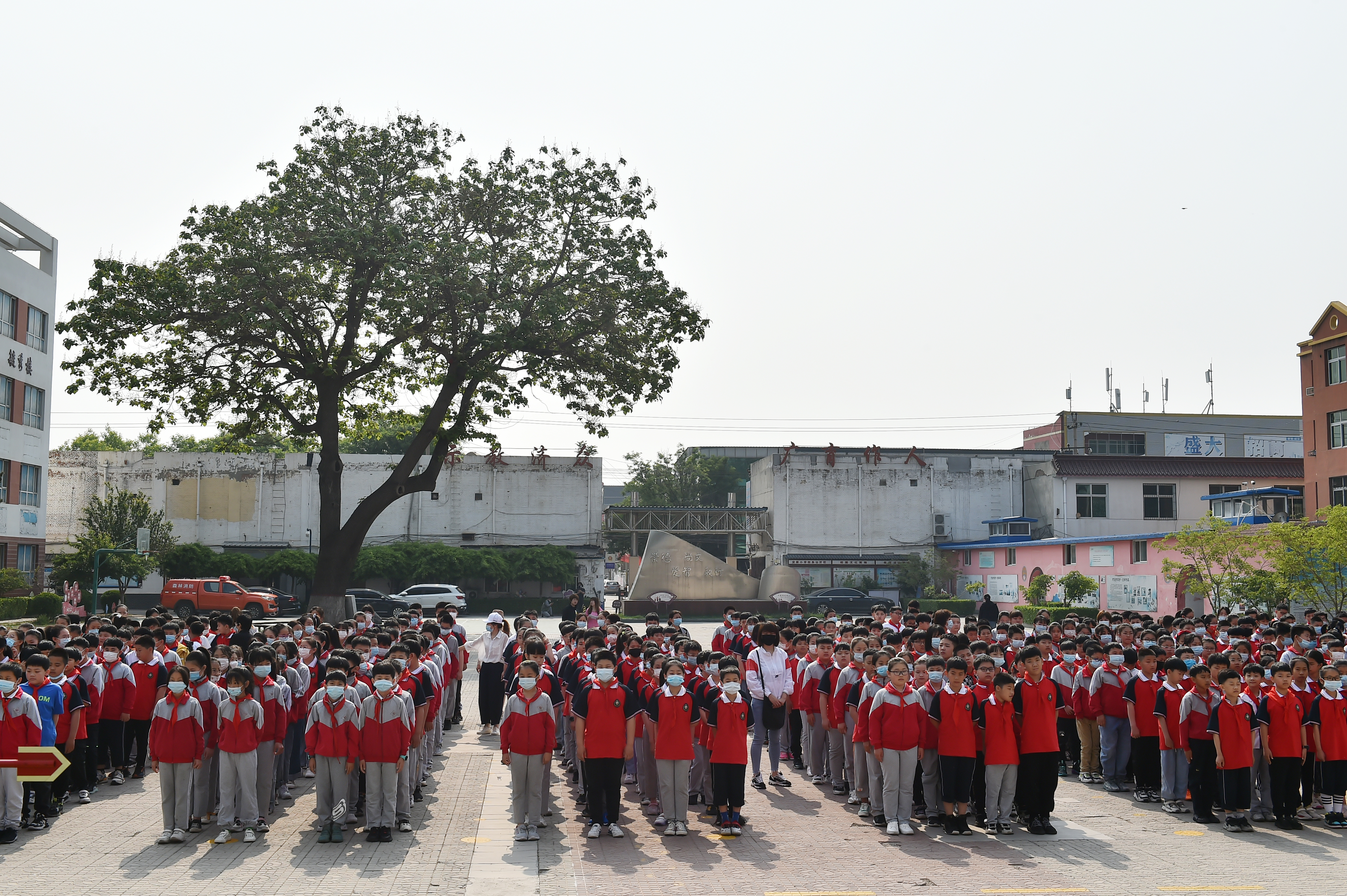 安新第二小学,绿树成荫倪邱中学校园